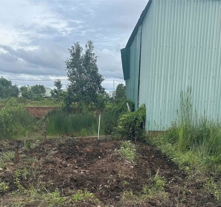 Đất nền chính chủ xã Mỹ Hạnh Bắc 36m² giá 175 triệu - Đầu tư sinh lời ngay!