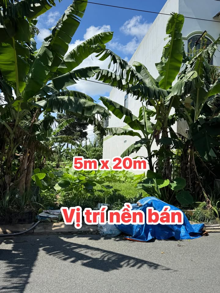 Đất nền 100m² Lấp Vò chỉ 1.12 tỷ - Cơ hội đầu tư tuyệt vời!