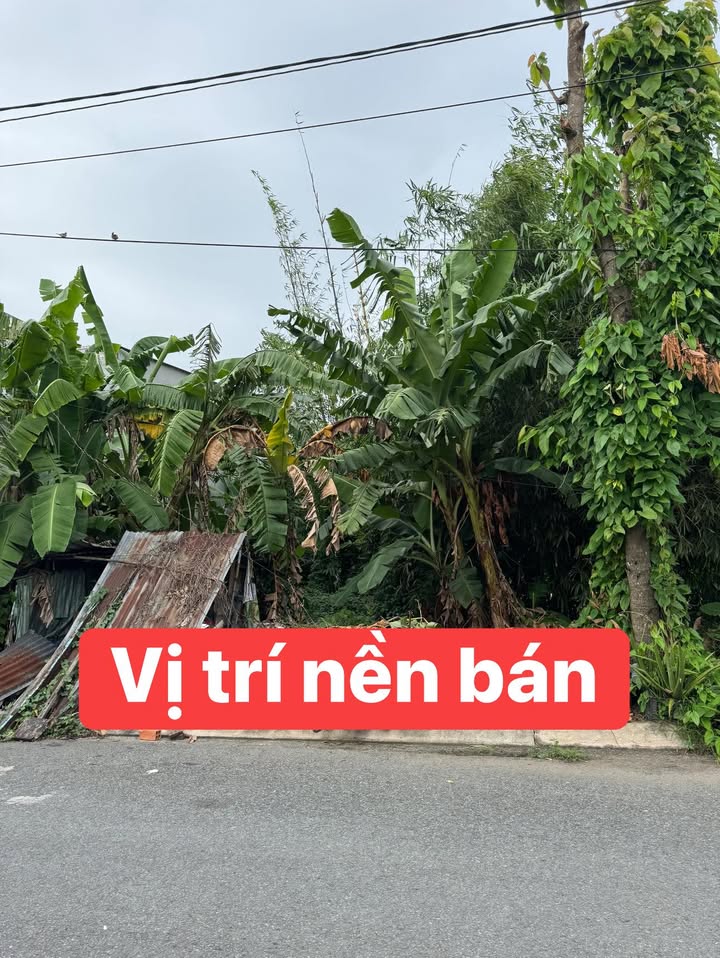 Đất nền Khu Sao Mai Lấp Vò 100m² giá 1.15 tỷ - Cơ hội đầu tư tuyệt vời!