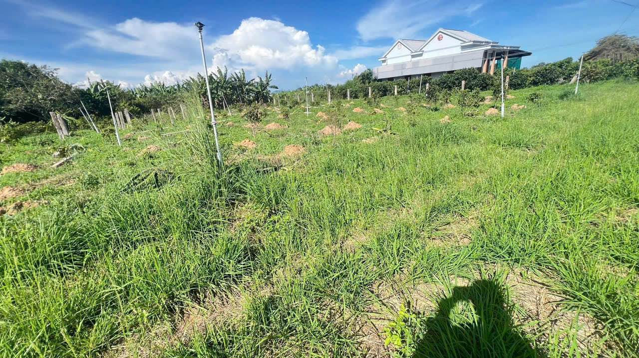 Đất thổ cư khu phố Đại Lộc, phường Bình Thuận 1000m² giá 650 triệu - Tiện ích đầy đủ!