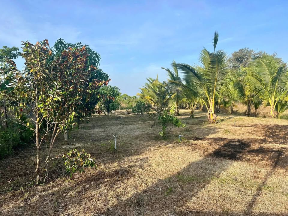 Đất nền 200m² Bảo Vinh, Long Khánh chỉ 1 tỷ - Đầu tư sinh lời ngay!