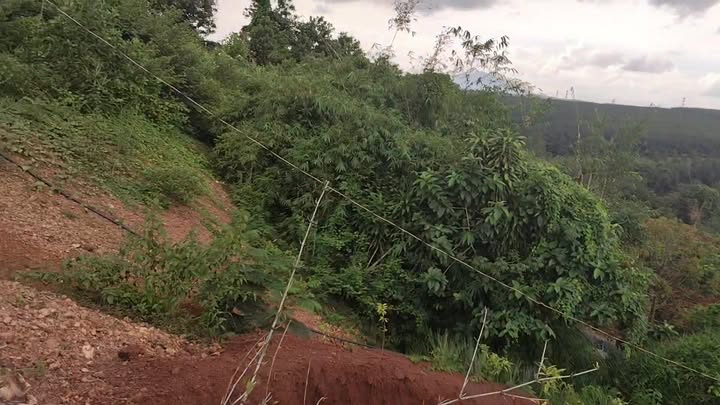 Đất nền thổ cư 800m² tại Quốc lộ 14, Nghĩa Bình - Giá chỉ 2.6 tỷ!