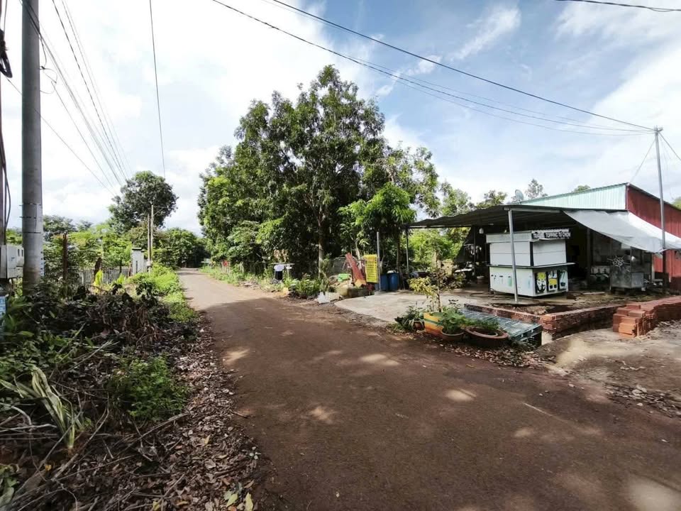 Đất Farm 500m² tại Bình Long, Chơn Thành giá 200 triệu - Cơ hội đầu tư hấp dẫn!