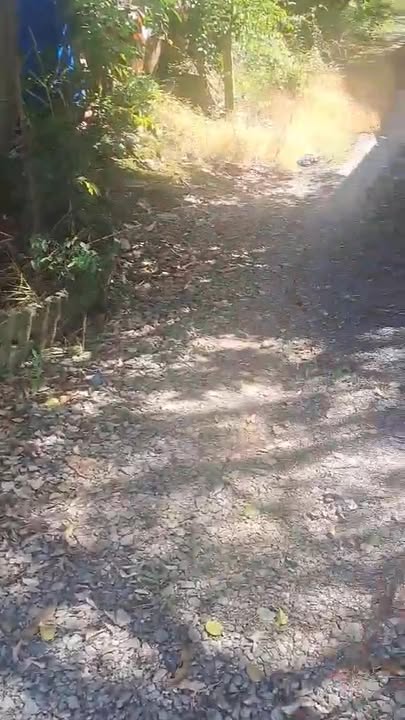 Đất nông nghiệp Tân Lập 36.000m² giá 2.5 tỷ - Đầu tư sinh lời ngay!