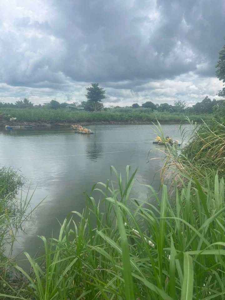 Đất nền 8 sào tại thôn 8, xã Cư Ni, huyện Ea Kar - Giá chỉ 1.6 tỷ!