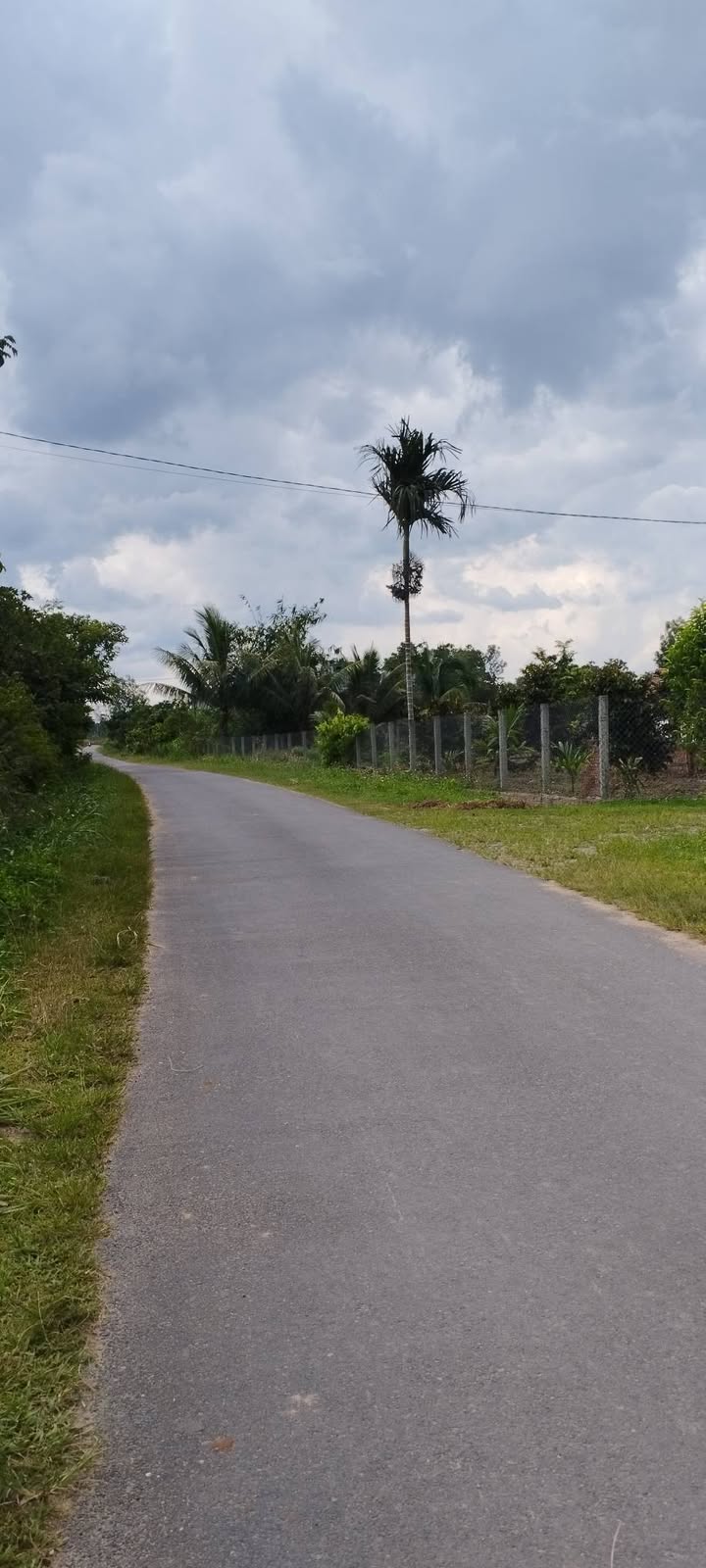 Đất nền Quảng Cư 1A, xã Cư Ni, 4400m² giá 1.9 tỷ - Sổ đỏ chính chủ, giao thông thuận tiện!