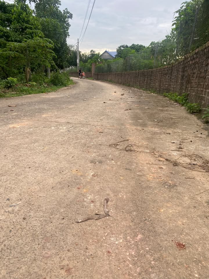 Đất nền xã Trung Giã, Sóc Sơn 2746m² giá 2.746 tỷ - Đầu tư sinh lời lý tưởng!