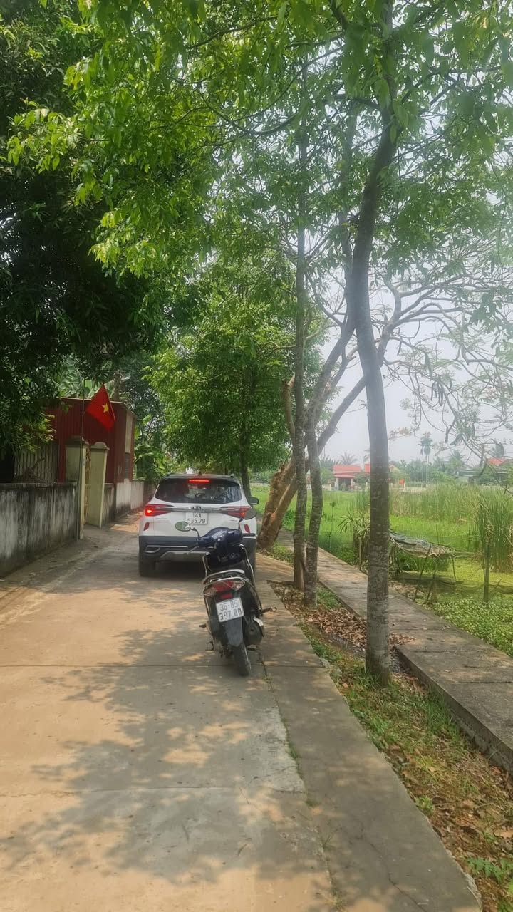 Đất nền Trường Sơn Nông Cống 195m² - Giá thỏa thuận hấp dẫn