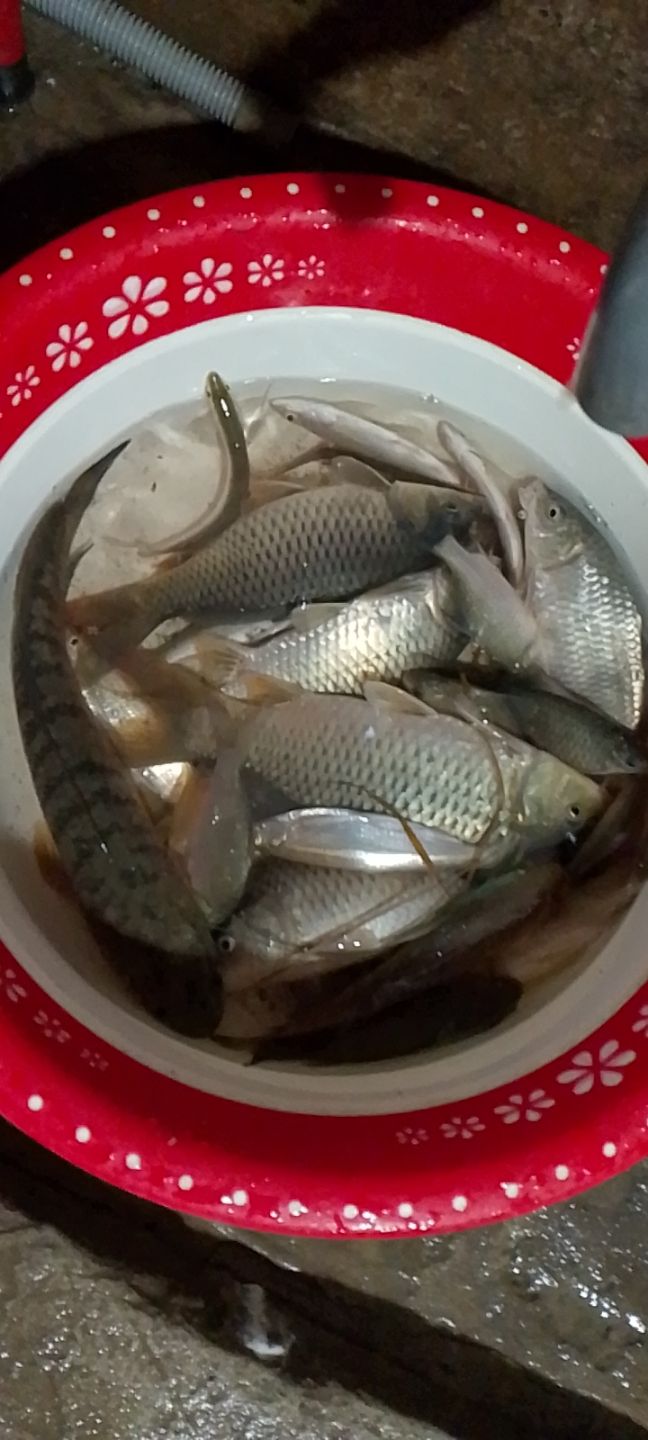 Đất nền Cẩm Sơn, Anh Sơn 240m² giá thỏa thuận - Gần trường học chỉ 1 phút!