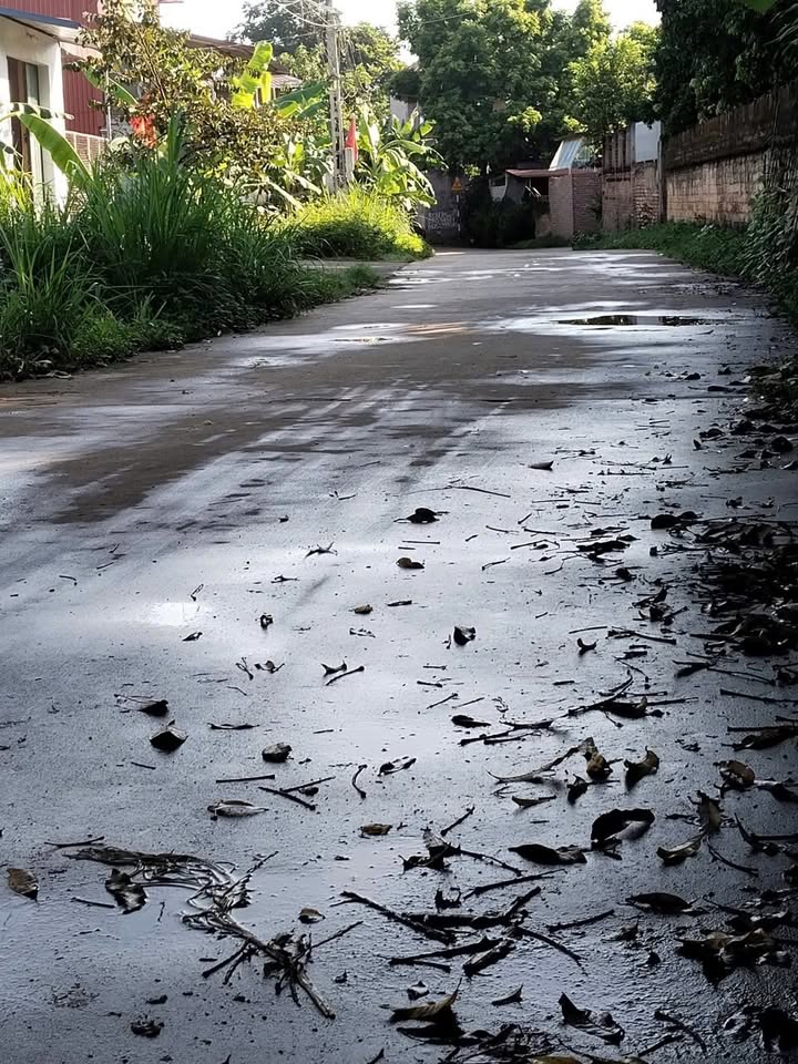 Lô đất chính chủ Nhã Nam, Tân Yên 110m² giá 1.2 tỷ - Mặt tiền 6.5m