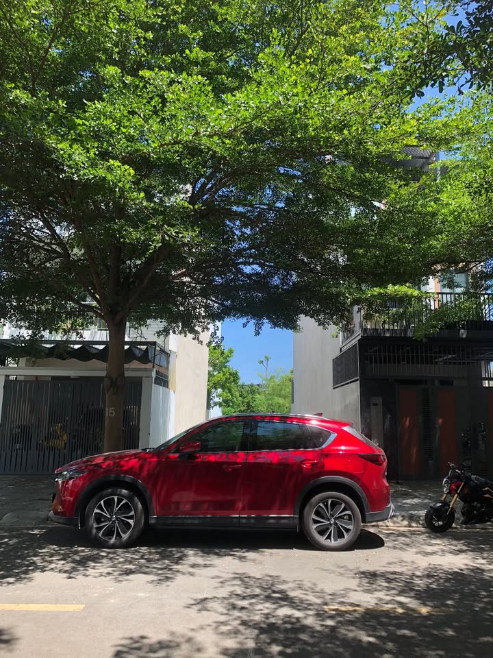 Đất nền 100m² đường số 3, phường Vĩnh Thái, Nha Trang chỉ 5.6 tỷ - Cơ hội đầu tư tuyệt vời!