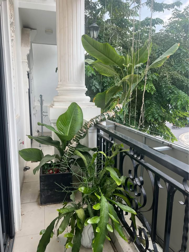 Căn hộ Hà Quang 2 Nha Trang 2PN giá 8.5 triệu - Sẵn sàng cho thuê ngay!