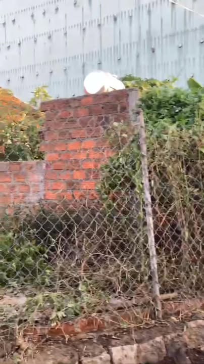 Đất 2 mặt tiền ngay chợ Phước Thuận 95m² giá 1.5 tỷ - Cơ hội đầu tư tiềm năng!