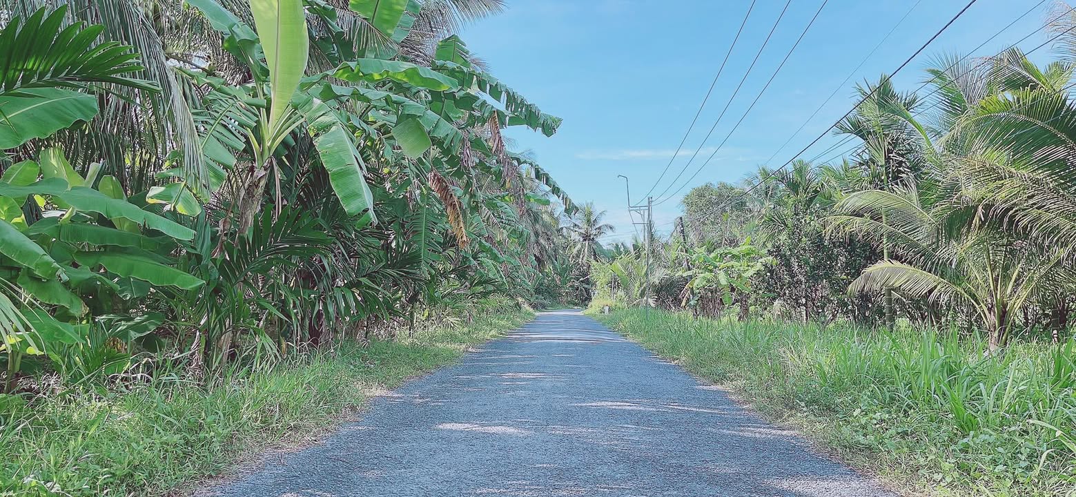 Đất ở đô thị Phường Long Đức 130m² giá 320 triệu - Mặt tiền nhựa 8 tấn