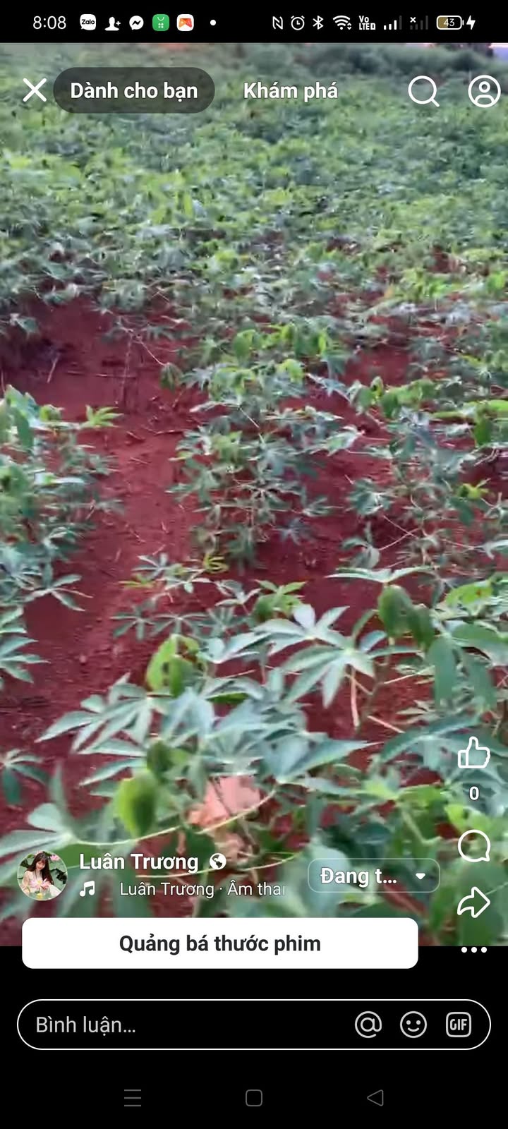 Đất Farm 11ha tại xã Kon Chiêng, Giá 3.52 tỷ - Cơ hội vàng đầu tư!