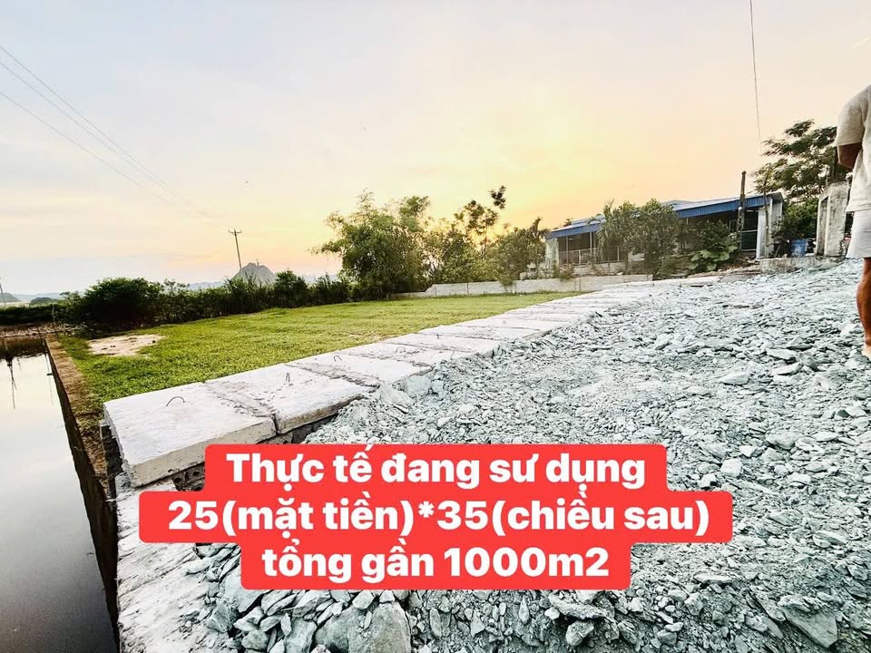 Đất thổ cư Yên Mô Ninh Bình 1000m² giá 1 tỷ - Đầu tư sinh lời hấp dẫn!