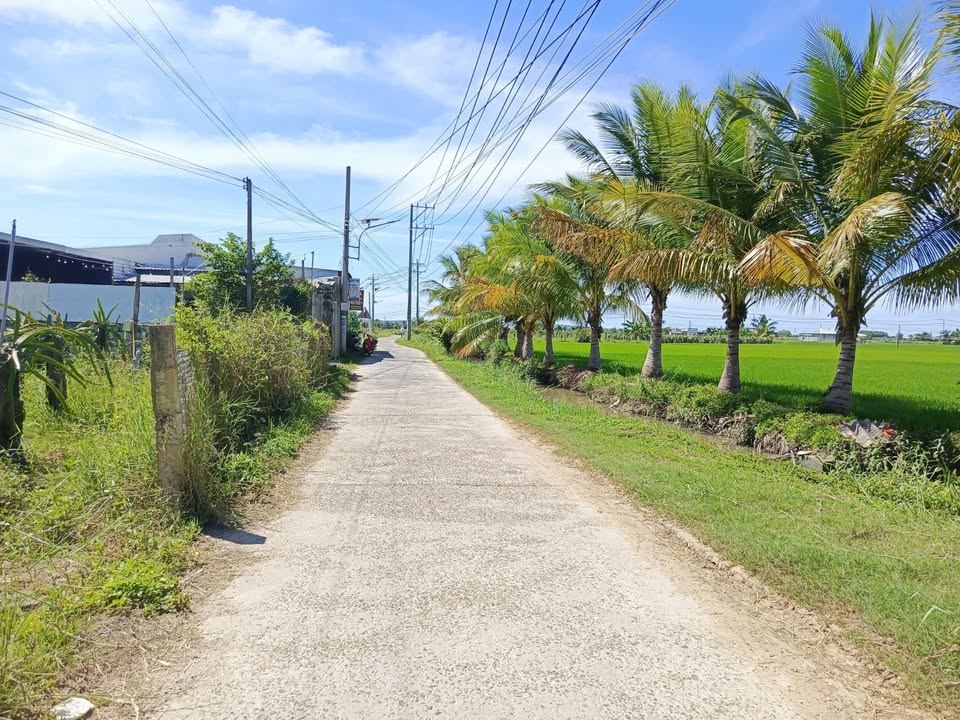 Lô Đất Nông Nghiệp 1000m² tại Xã Hàm Thuận - Giá chỉ 4xx triệu