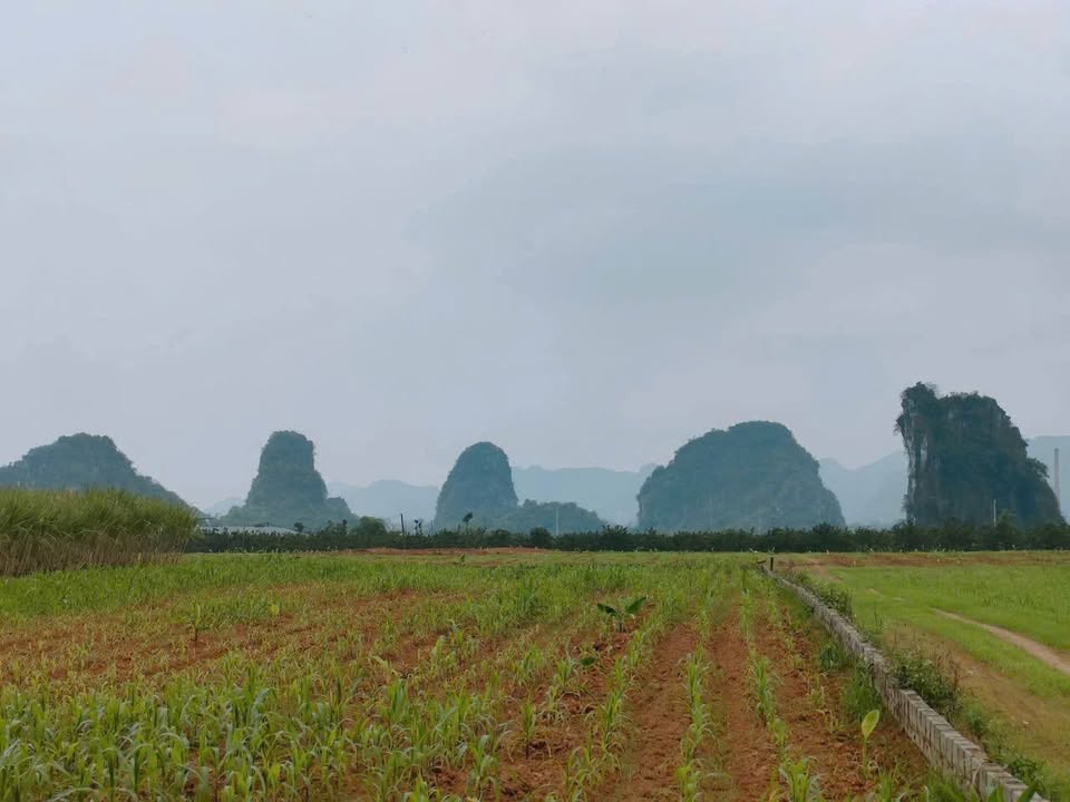 Đất 2 mặt tiền 1645m² tại Thôn Tân Lâm - Cơ hội đầu tư và nghỉ dưỡng tuyệt vời!