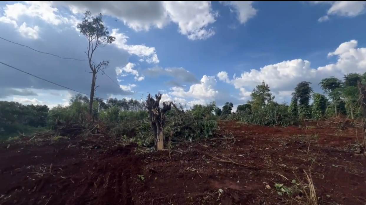 Đất thổ cư xã Ia Der, diện tích 132m², giá 200 triệu - Đầu tư sinh lời ngay!