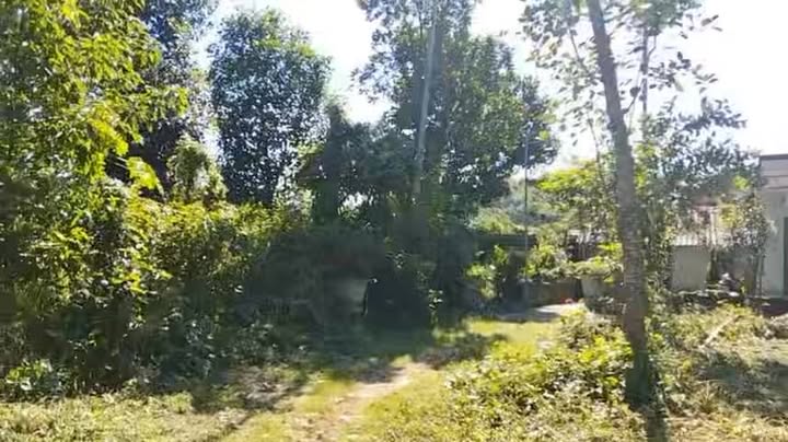 Đất nền Cao Dương Lương Sơn 2500m² - Đầu tư sinh lời cao!