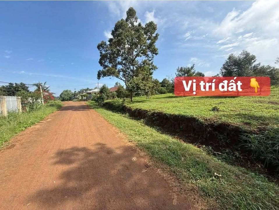 Đất thổ cư Đ. Mạc Đăng Dung - P. Đạt Hiếu - 150m² giá 548 triệu - Sổ đỏ chính chủ!