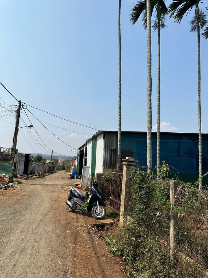 Đất thổ cư 384m² đường Nguyễn Chánh, Cư Bao - Giá 1.269 tỷ, thương lượng chính chủ!