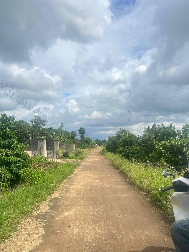 Đất thổ cư Ea Siên, Buôn Hồ, Đăk Lăk 250m² giá chỉ 100 triệu - Cơ hội đầu tư hấp dẫn!