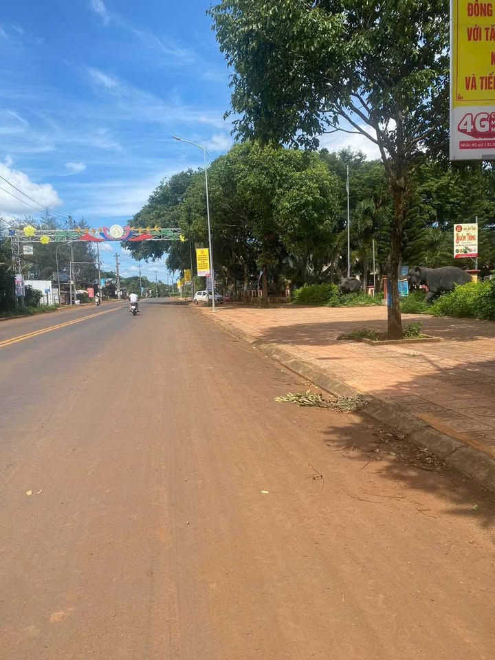 Đất mặt tiền đường Phan Phú Thứ, Buôn Hồ, Đắk Lắk 210m² - Giá cực tốt chỉ 1.2 tỷ!