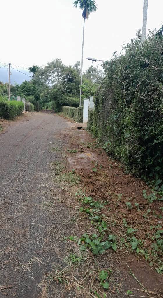 Lô đất Thống Nhất, Buôn Hồ 504m² giá 9xx triệu - Đầu tư sinh lời ngay!