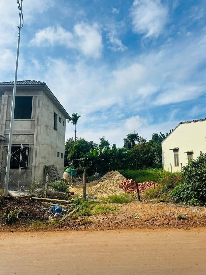 Đất mặt tiền Nơ Trang Lơng, An Lạc, 236m² giá 10.62 tỷ - Cơ hội đầu tư tuyệt vời!