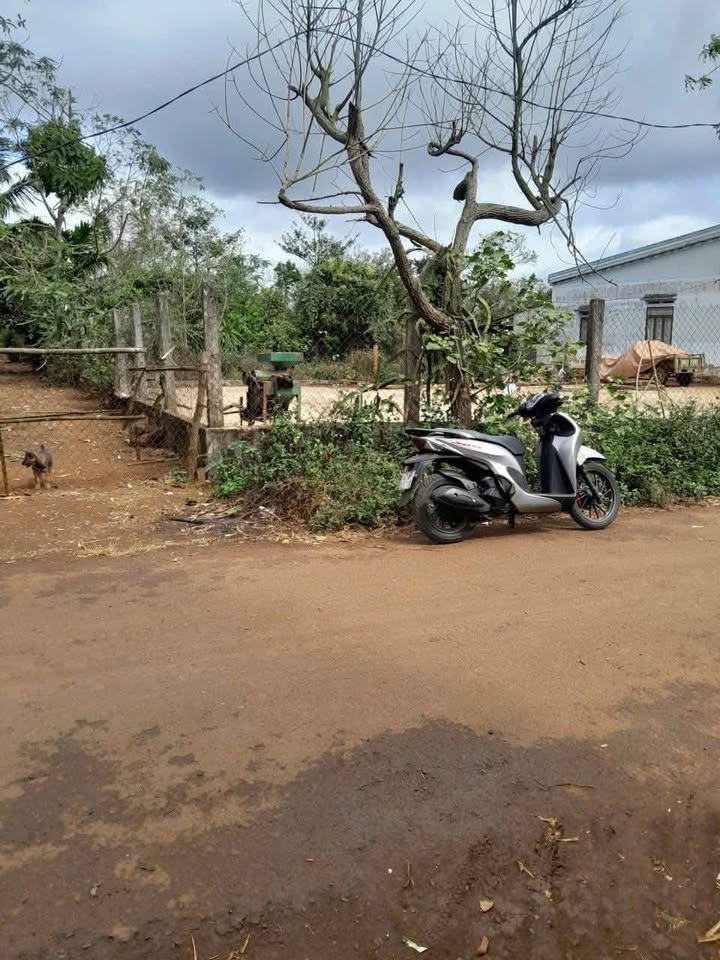 Lô đất 2 mặt tiền Pơng Drang 518.5m² giá 999 triệu - Đầu tư sinh lời ngay!