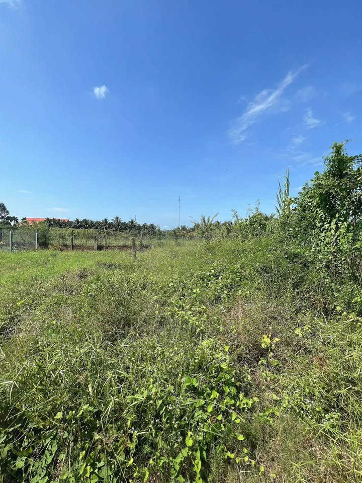 Đất thổ cư Hòa Thành 80m² giá 439 triệu - Bán gấp 100m từ mặt tiền Nguyễn Văn Linh!