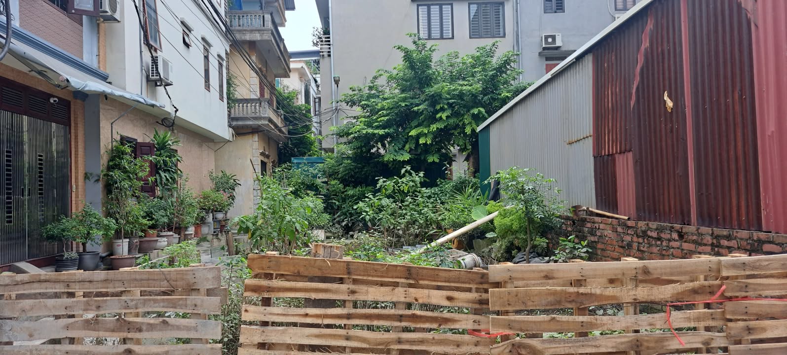 Bán đất phân lô Nguyễn Lam, Long Biên 96m² giá 14 tỷ - Lô góc 2 mặt thoáng!