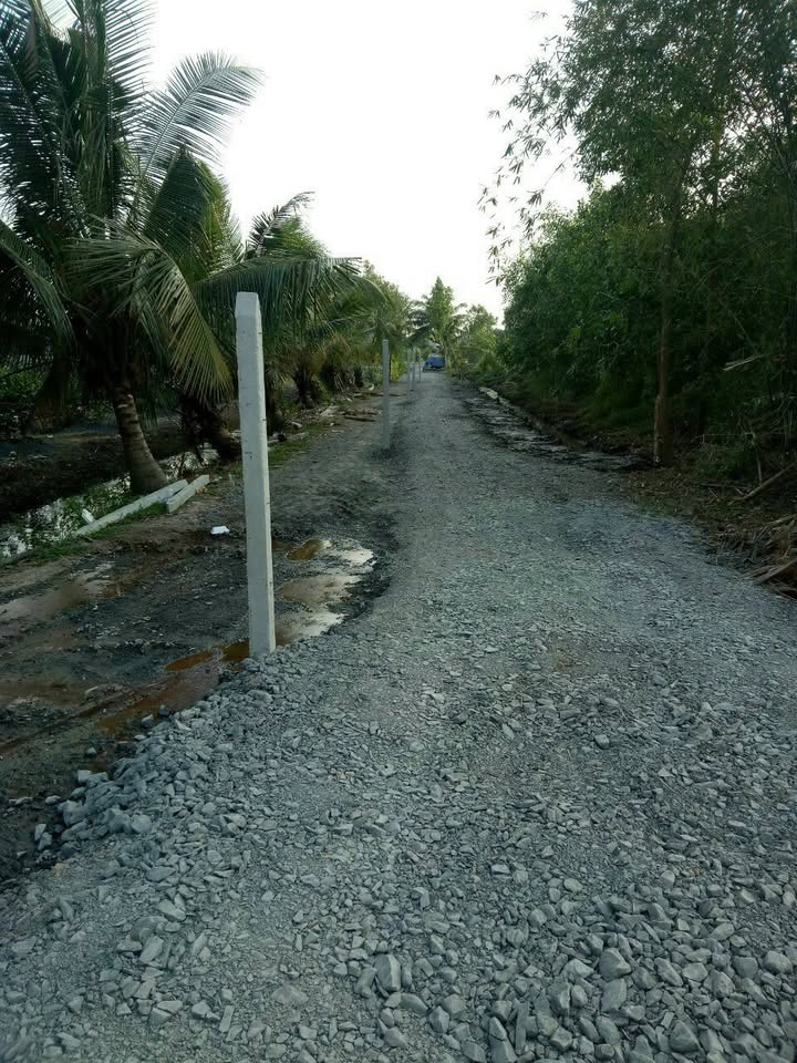 Đất vườn 2000m² tại ấp 2 Thạnh Hòa, Bến Lức, giá chỉ 1.35 tỷ - Tiềm năng đầu tư lớn!