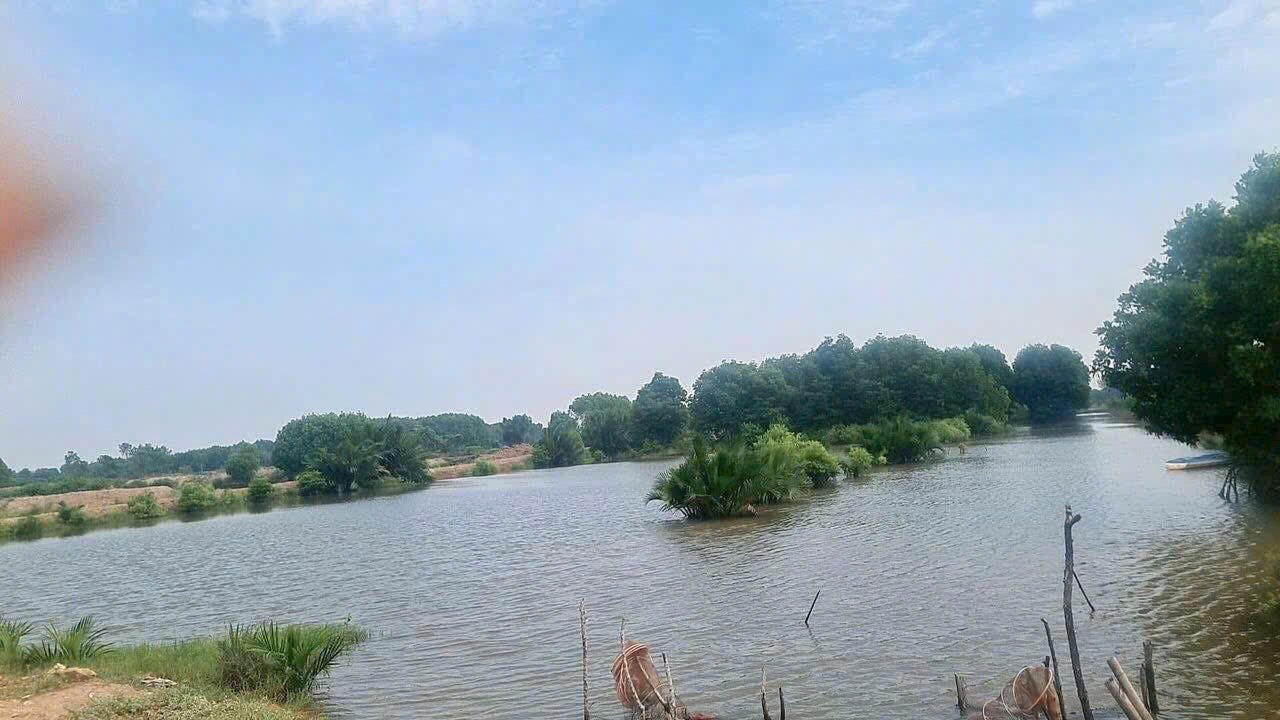 Đất 200.000m² tại ấp Cồn Tàu, Trường Long Hòa, giá 115 triệu - Cơ hội đầu tư tuyệt vời!