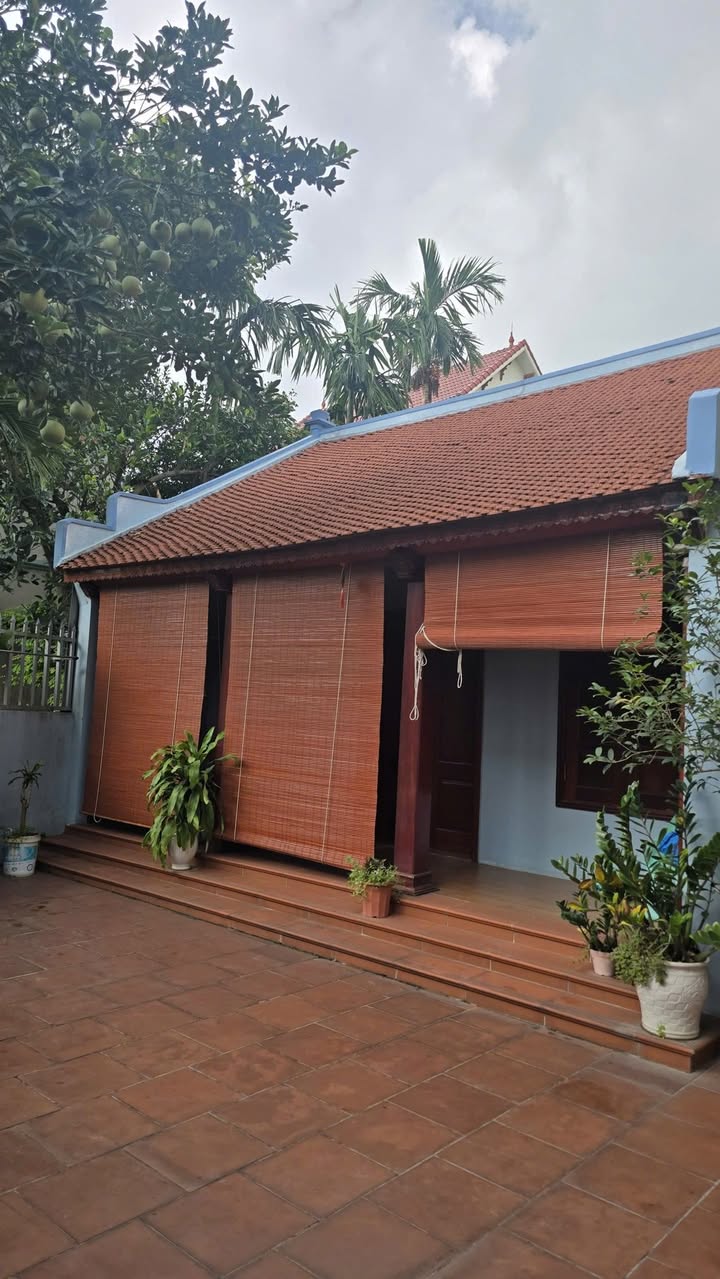 Đất Thổ Cư 84m² Khu Phố Đa Tiện - Giá 2 tỷ, Ô Tô Vào Tận Cửa!