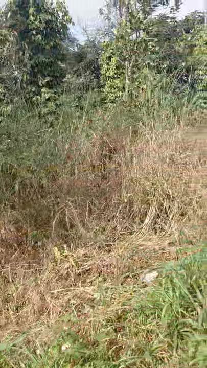 Đất nền thôn 2 Đắk Ha 14,000m² giá 1.6 tỷ - Đầu tư sinh lời ngay!