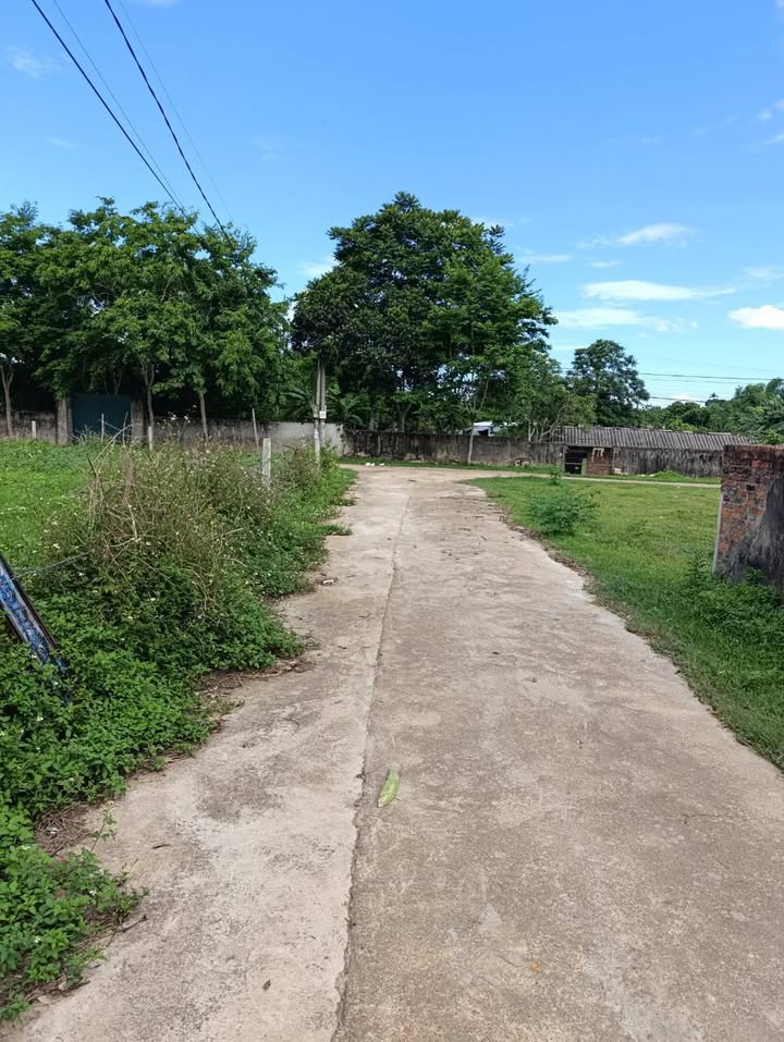 Đất nền Tân An, phường Tây Hiếu, 249m² chỉ 700 triệu - Cơ hội đầu tư tuyệt vời!