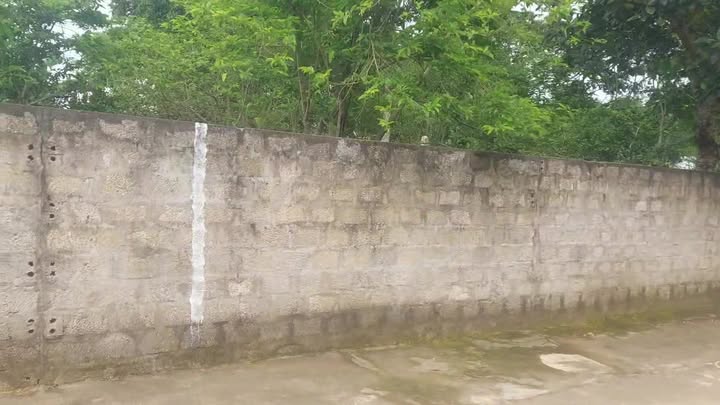 Đất nền Đông Hiếu Thái Hòa 165m² giá chỉ 5xx triệu - Vị trí đắc địa, thuận lợi kinh doanh!