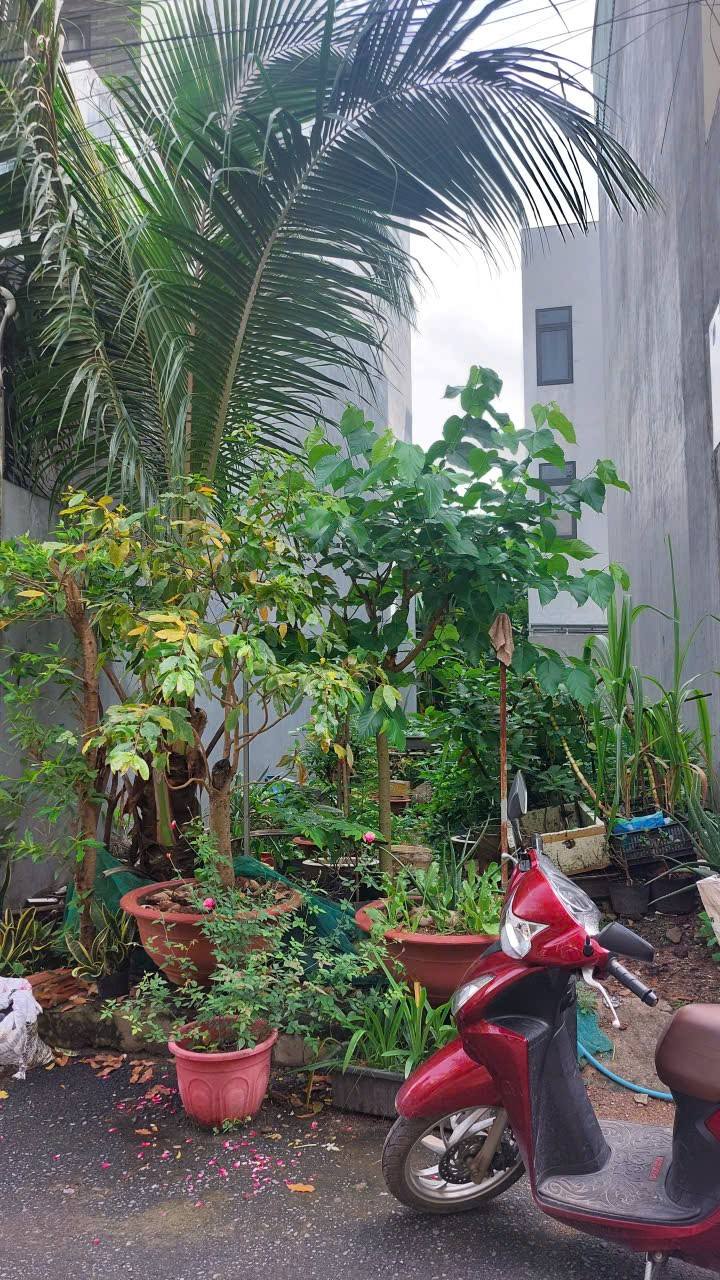 Đất Khu DC Gò Cát, Phú Hữu, Thủ Đức 58m² giá 3.65 tỷ - Đường xe hơi rộng rãi!