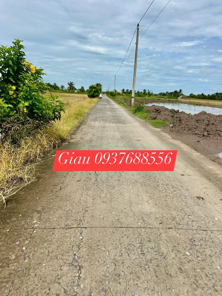 Đất nền Bờ Rỗi, Gò Công Tây 126m² giá 255 triệu - Đầu tư sinh lời ngay!