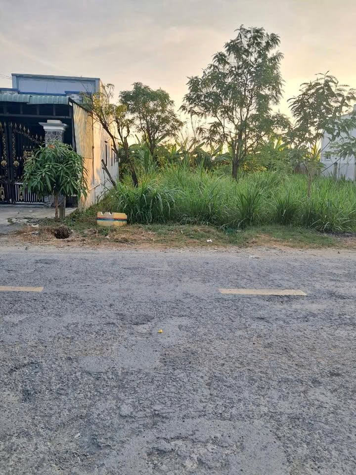 Đất thổ cư mặt tiền DT873B, xã Tân Tây, 144m² giá 1.1 tỷ - Cơ hội đầu tư hấp dẫn!