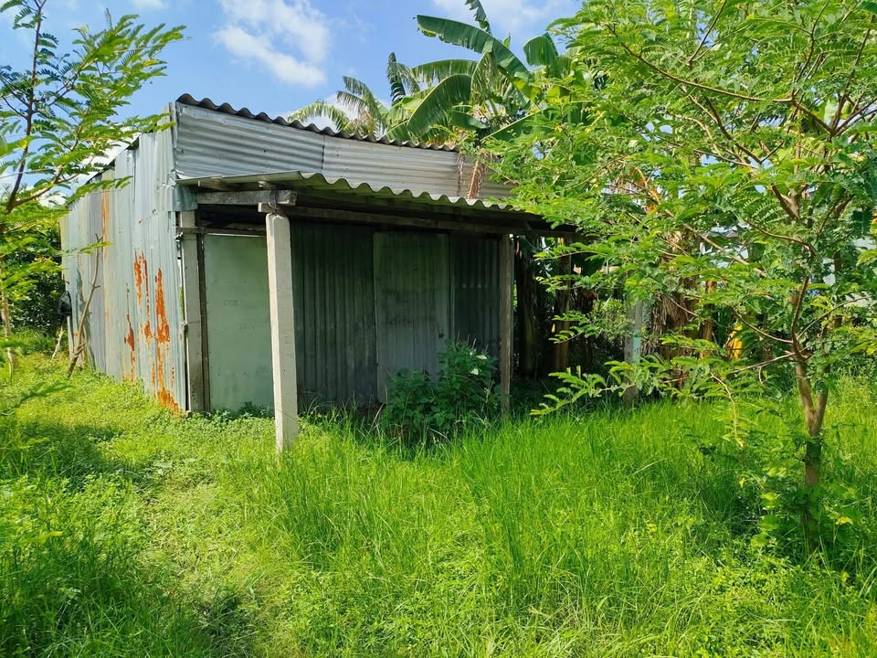 Đất nền mặt tiền Ấp Lợi An, xã Đồng Thạnh, Gò Công Tây 240m² giá 900 triệu - Pháp lý rõ ràng!