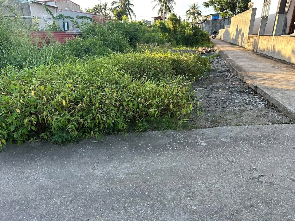 Đất nền lô góc Phù Liễn 50m² giá chỉ 900 triệu - Hướng Đông mát mẻ!