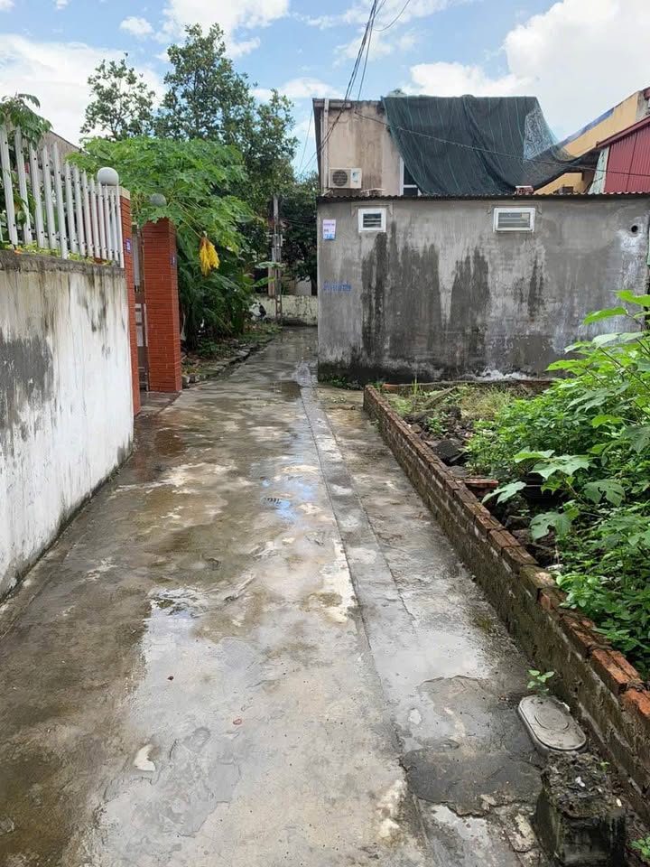 Đất Lô Góc Đường Lê Lác 2, Hồng An, Kiến An - 60m² giá 1.05 tỷ - Chính chủ bán nhanh!