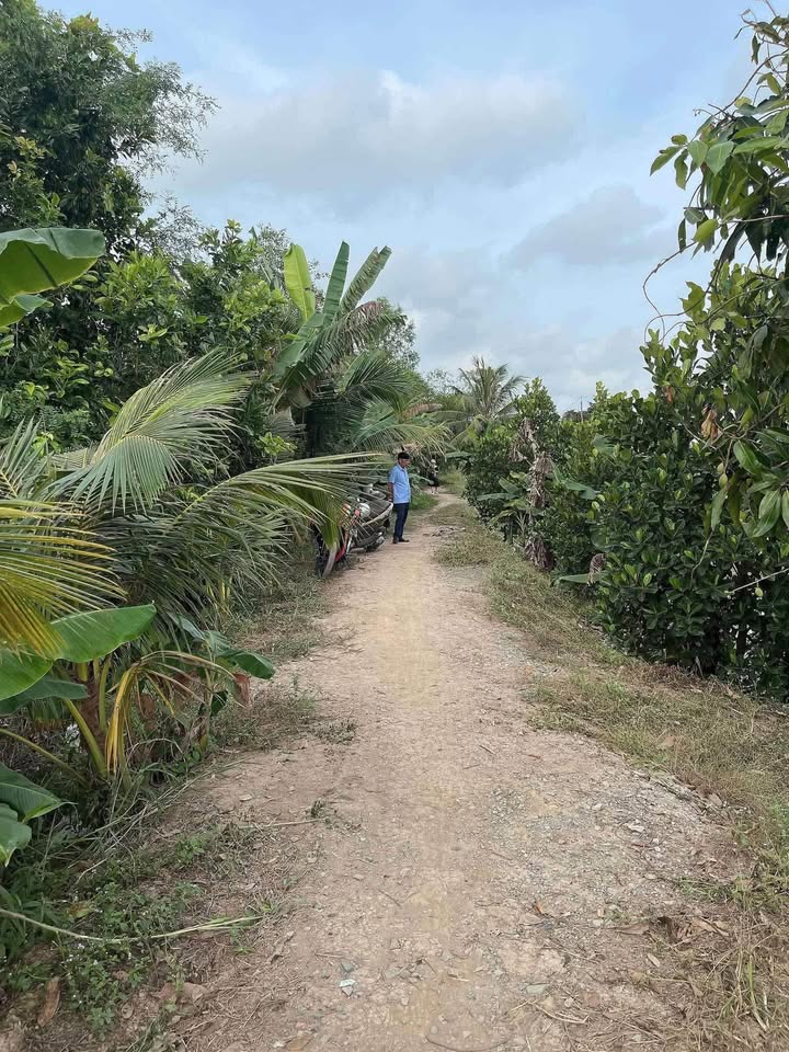 Đất Mỹ Thuận Bình Tân 4000m² giá 300 triệu - Sổ đỏ chính chủ!