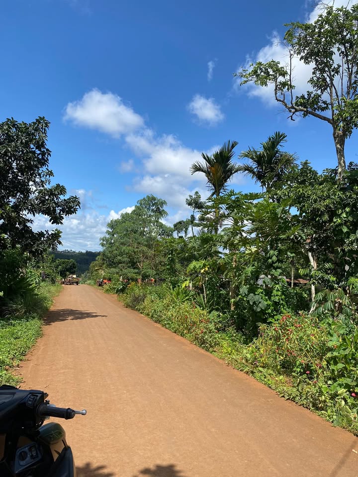 Đất nền mặt tiền Mai Xuân Thưởng, Buôn Hồ 180m² giá 649 triệu - Cơ hội đầu tư hấp dẫn!