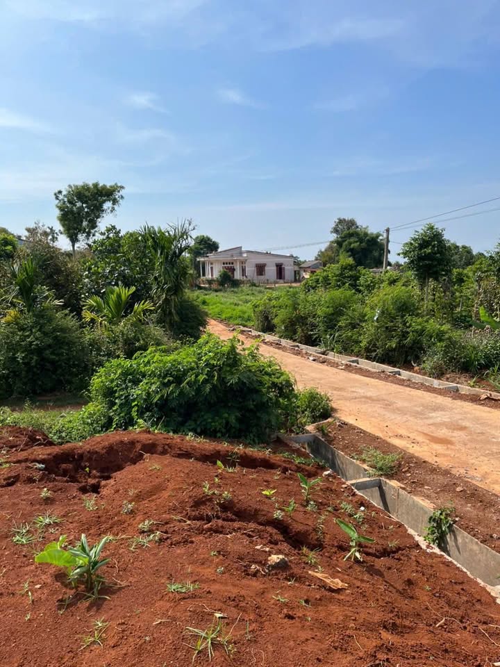 Đất nền Cư Bao, Buôn Hồ 355.5m² giá 600 triệu - Đầu tư sinh lời tối ưu!