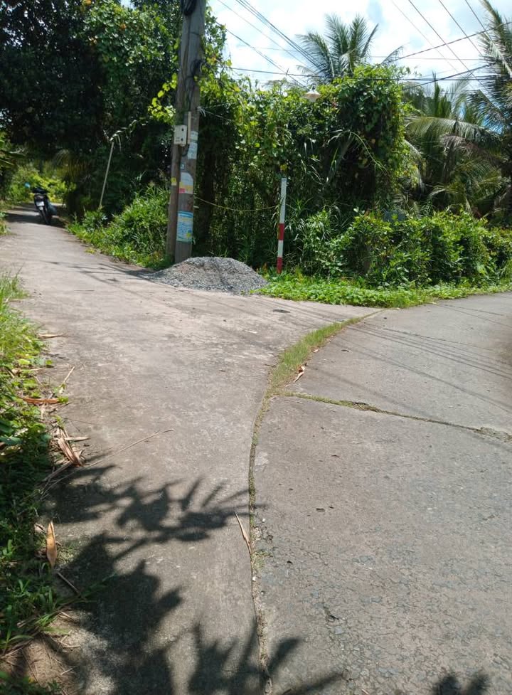 Bán đất Farm 1.572m² tại ấp Phú Tây, Kế Sách - Thu hoạch ngay với nhà yến và dừa!