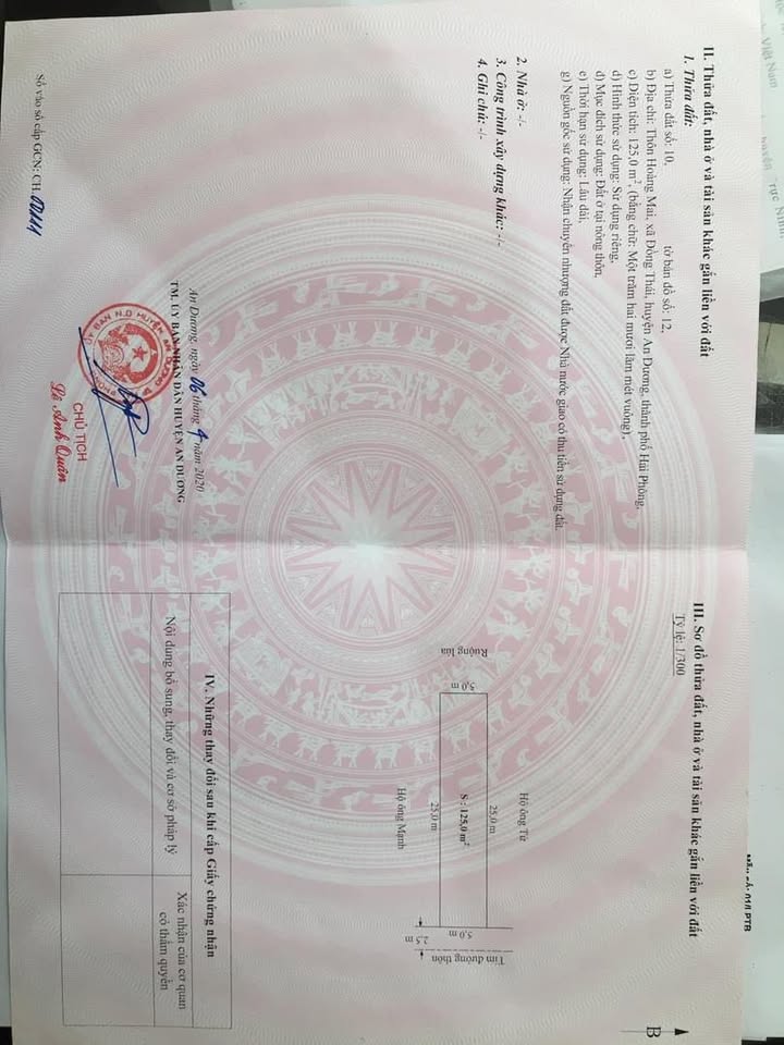 Đất nền 125m² đường Hoàng Mai, Đồng Thái, Hải Phòng - Giá chỉ 2.875 tỷ, chính chủ bán gấp!